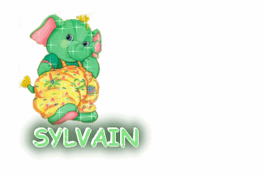 PRENOM EN S //SYLVAIN